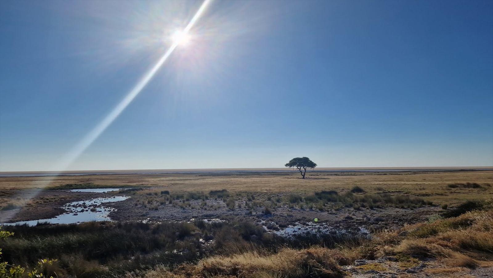 Titulní fotografie ke článku Botswana, JAR, Namibie, Zimbabwe – červen 2025, den 6–7